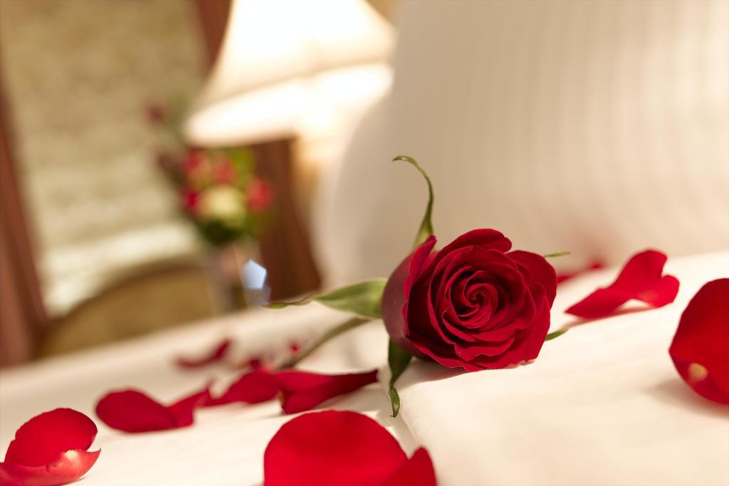 Hotel Arabesco ريميني المظهر الخارجي الصورة